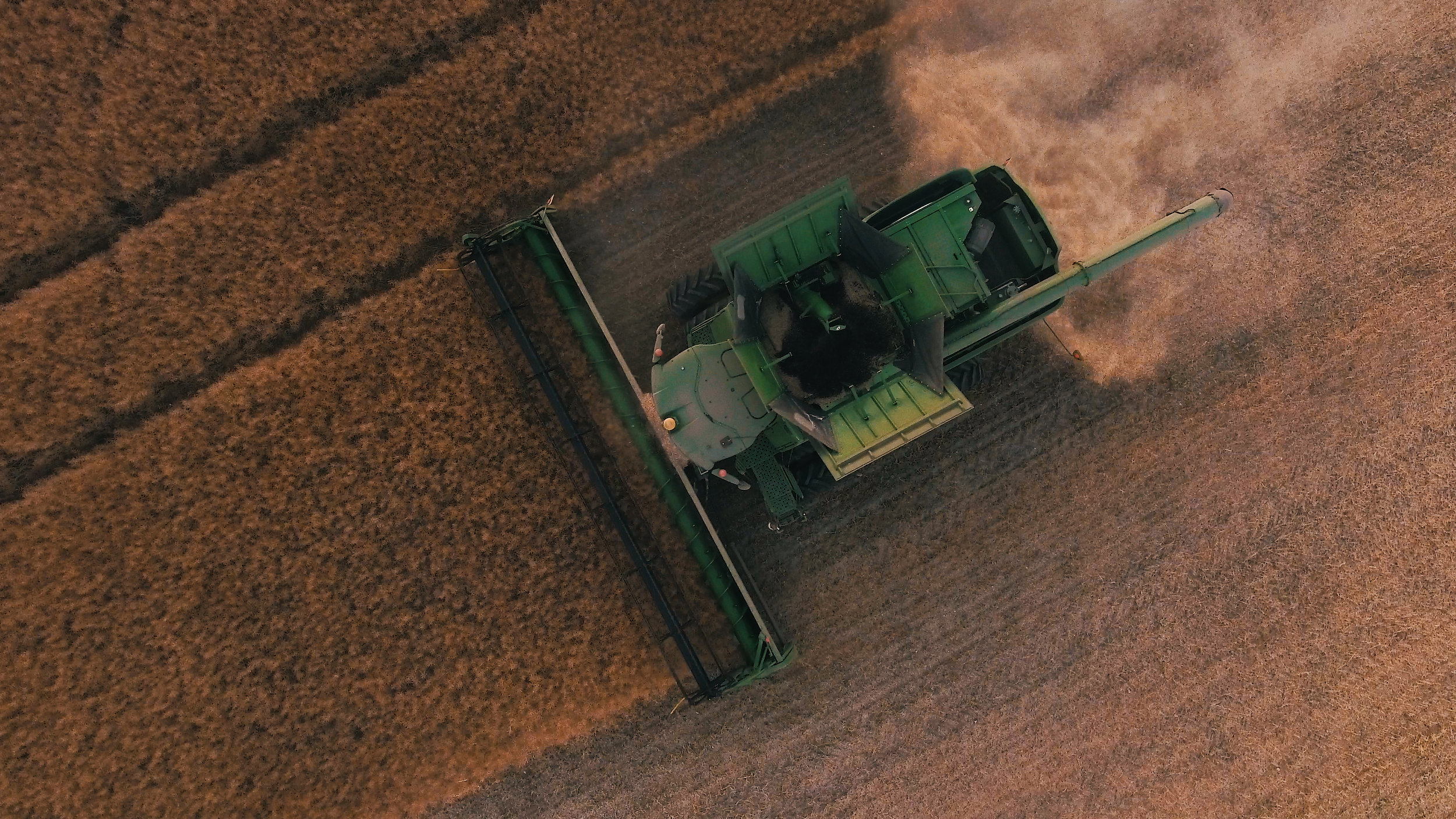 AI in agriculture: symptom or a remedy? 